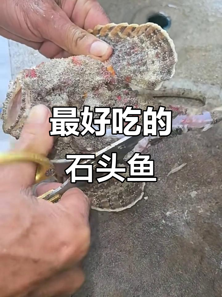 今晚最美味石头鱼,玫瑰独享的独特做法