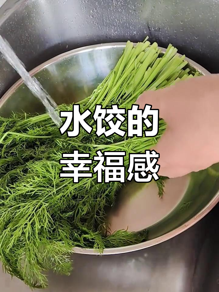 茴香猪肉水饺,香气扑鼻,咬下去满口幸福!