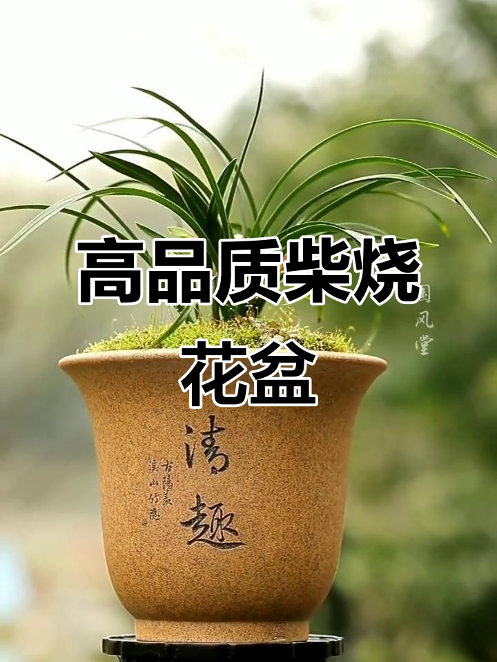 宜兴紫砂柴烧花盆,兰花首选的高端艺术品