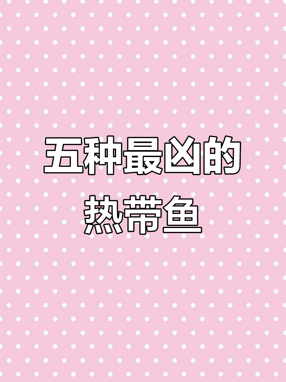 五大凶猛观赏鱼,你养过几种?