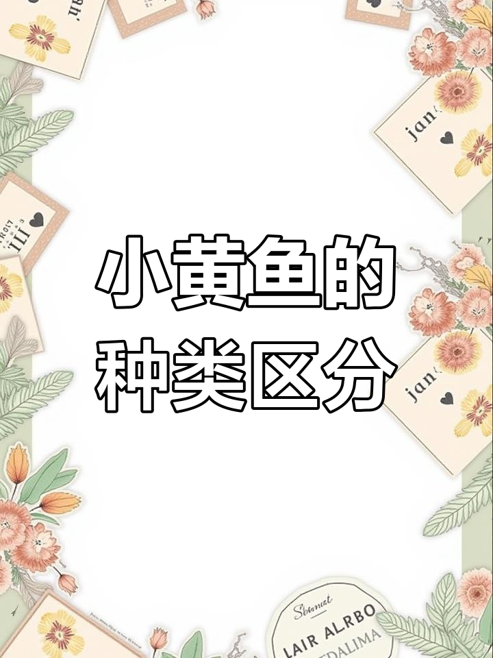 两种小黄鱼的区别与价格差异