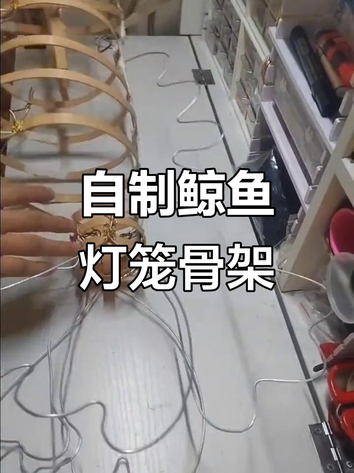 鲸鱼骨架制作教程:从铁丝到竹竿的完美变身