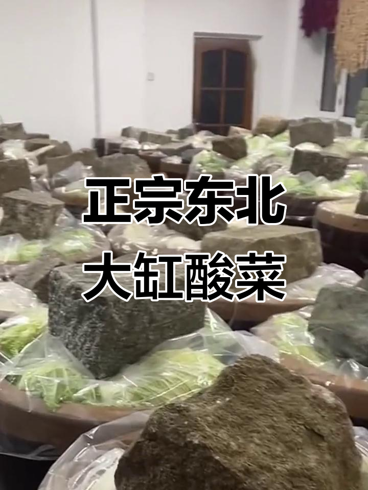 东北大缸酸菜的独特做法,塑料袋不能套!