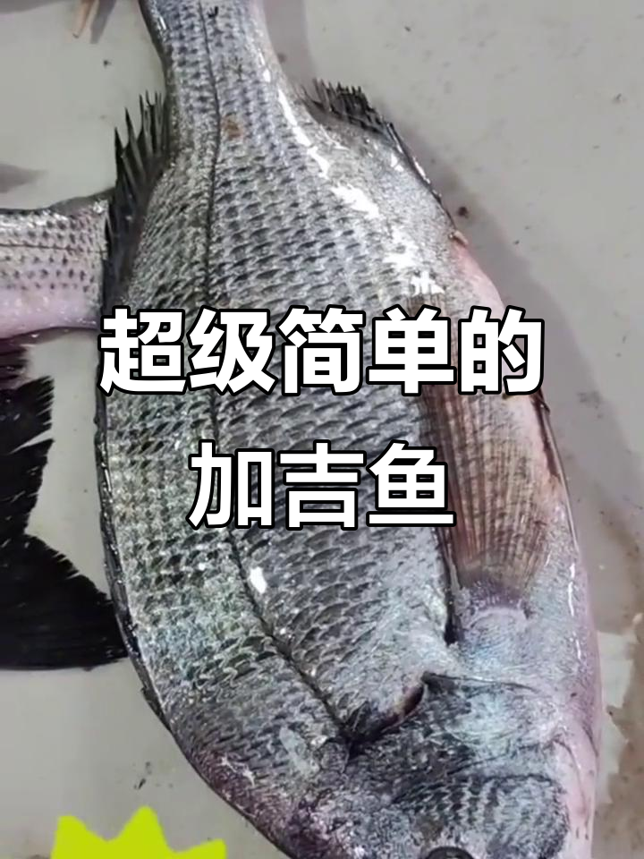 加吉鱼超简单做法,轻松搞定美味!
