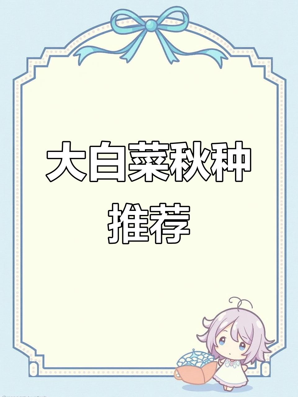 秋冬大白菜种子,直筒包心,山东优质品种