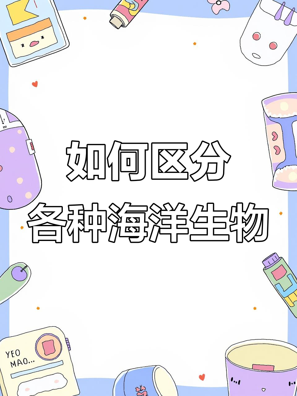 鱿鱼墨鱼乌贼章鱼傻傻分不清?教你一招轻松辨别