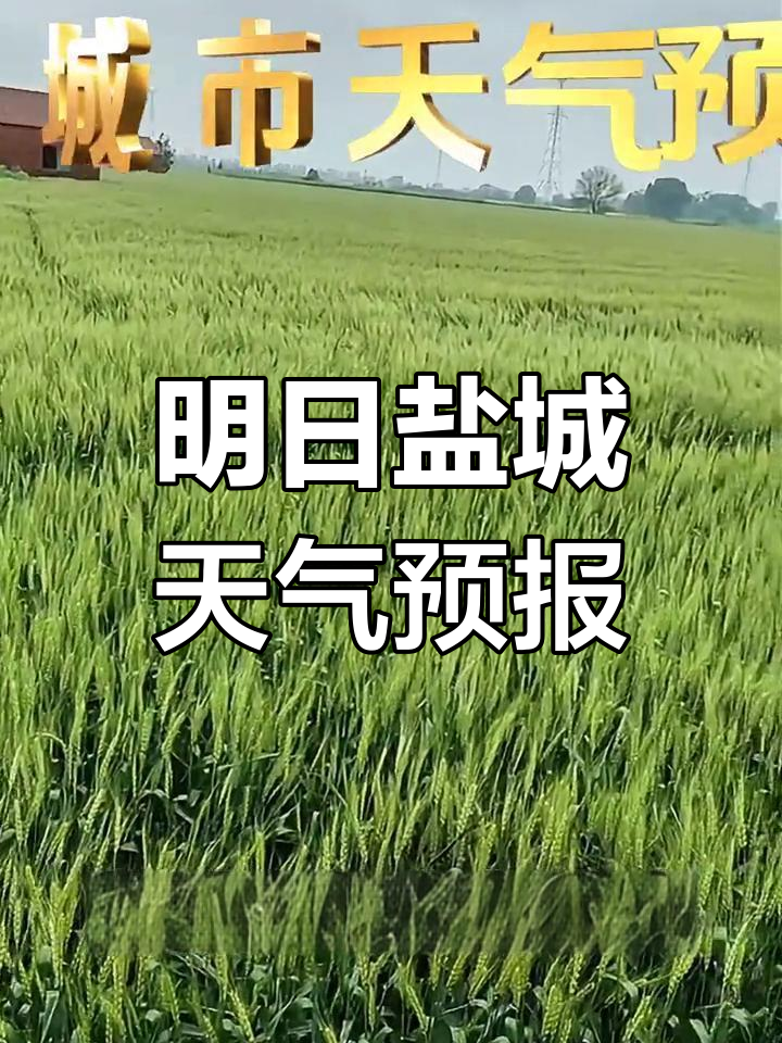 盐城天气预报:明天多云转阴,钓鱼适宜