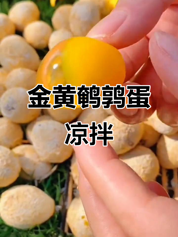 鹌鹑蛋凉拌做法,金黄透亮、Q弹爽滑,一口一个超满足