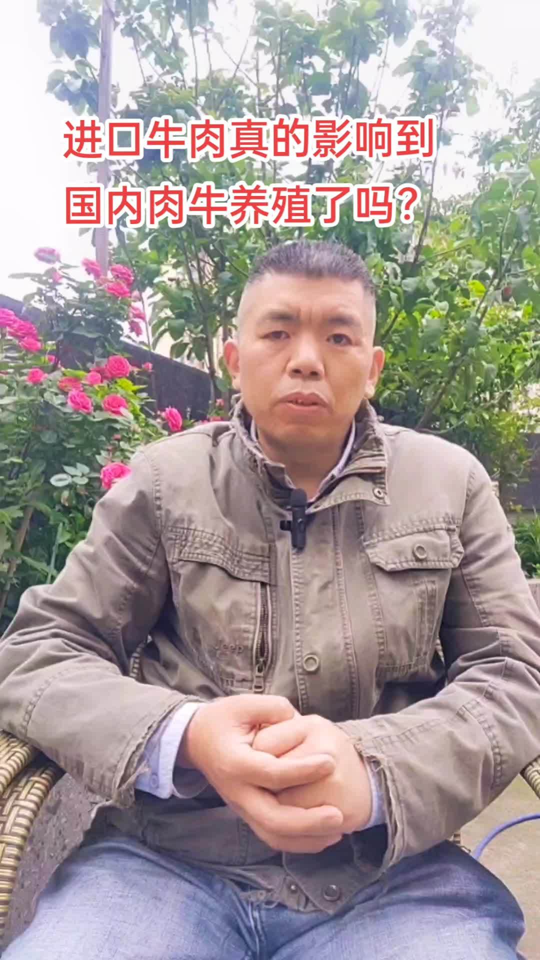 进口牛肉真的影响到 国内肉牛养殖了吗?进口牛肉