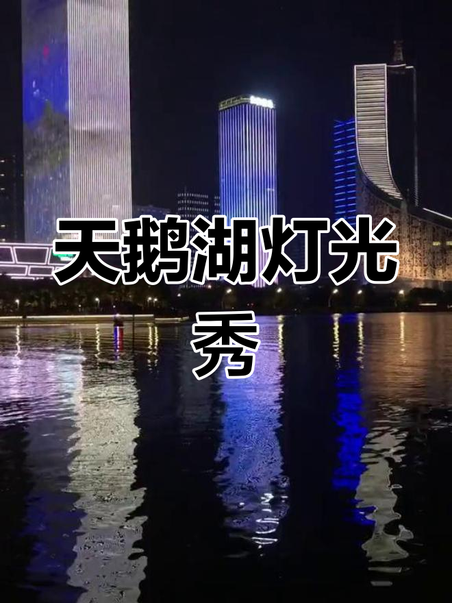 合肥政务区天鹅湖灯光秀,每周五周六周日晚播放
