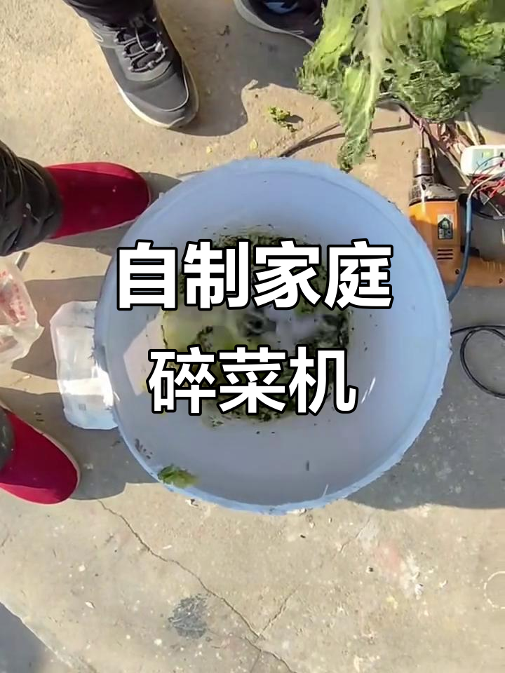 利用废电机DIY家用碎菜机,简单又实用