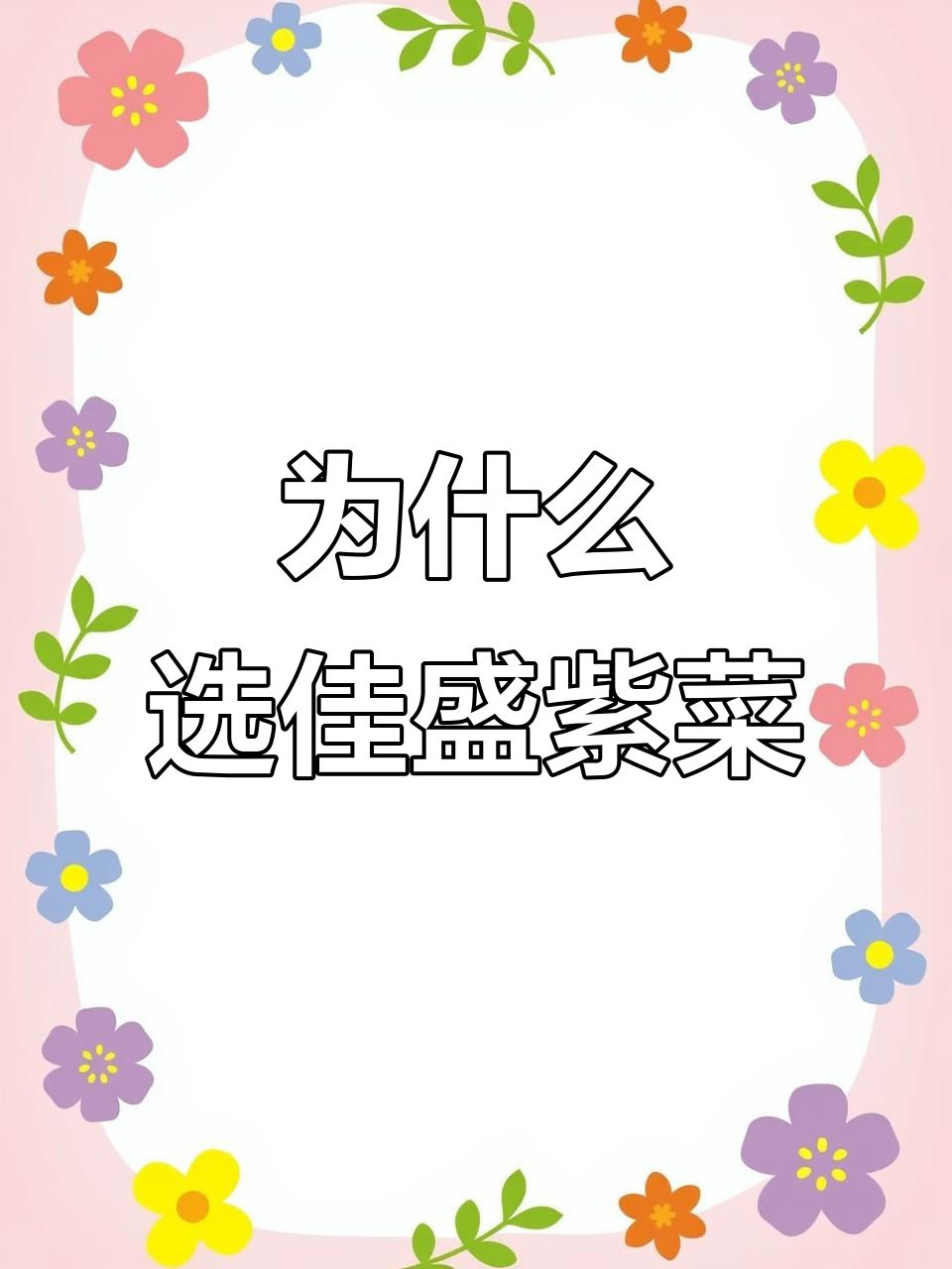 青岛莱芜紫菜为何更甜脆?独特养殖环境揭秘