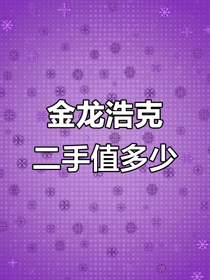 20年金龙浩克面包车，9万公里还能跑地库吗？