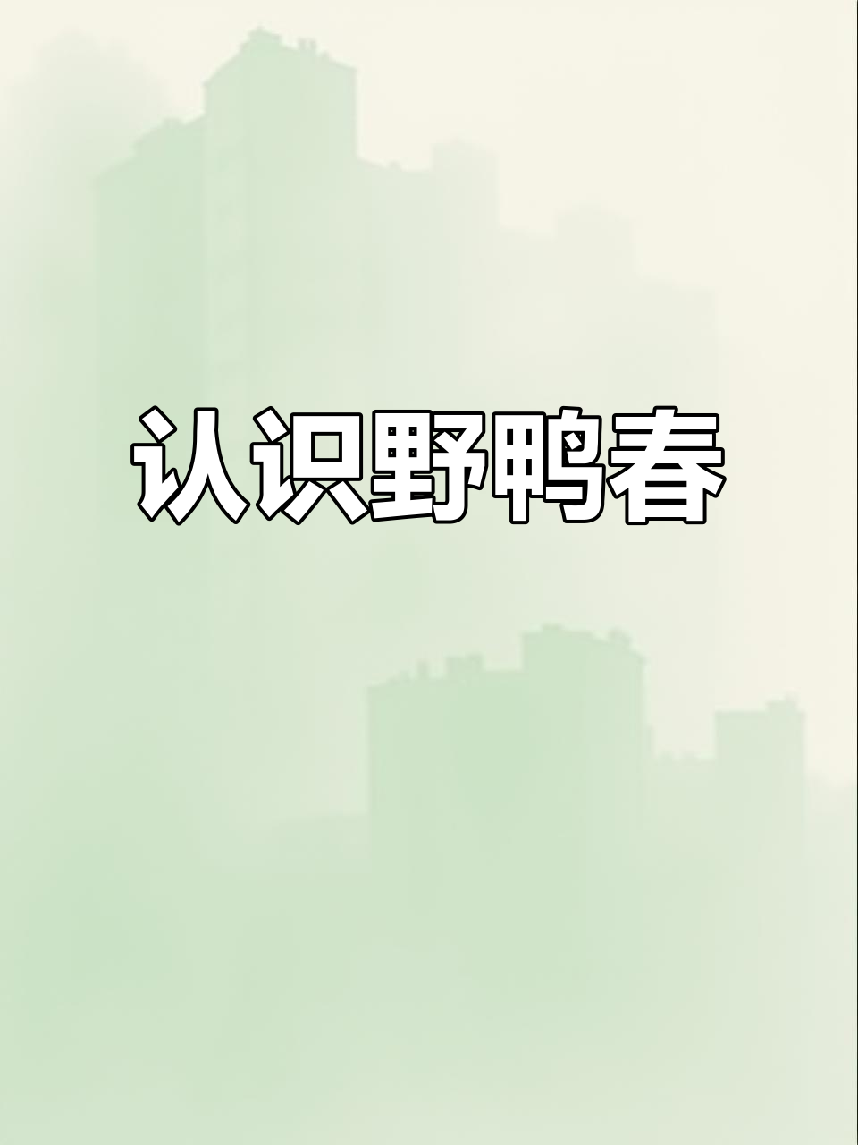 野鸦椿:像鸡眼睛的奇特植物,全身都是宝