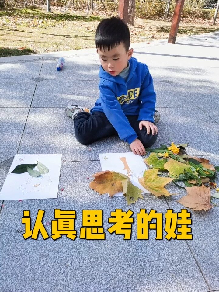 天然美育之树叶拼贴画玩起来