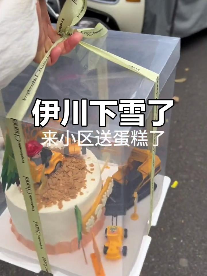 伊川初雪降临,生日蛋糕推荐!进口动物奶油男孩最爱