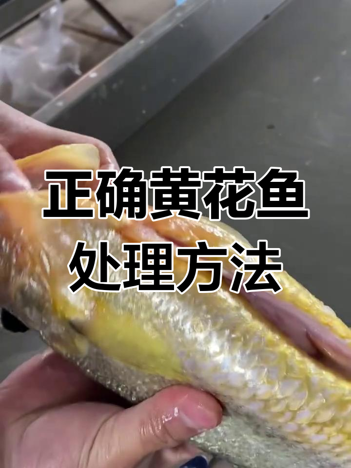黄花鱼处理技巧大揭秘,别再乱剪了!