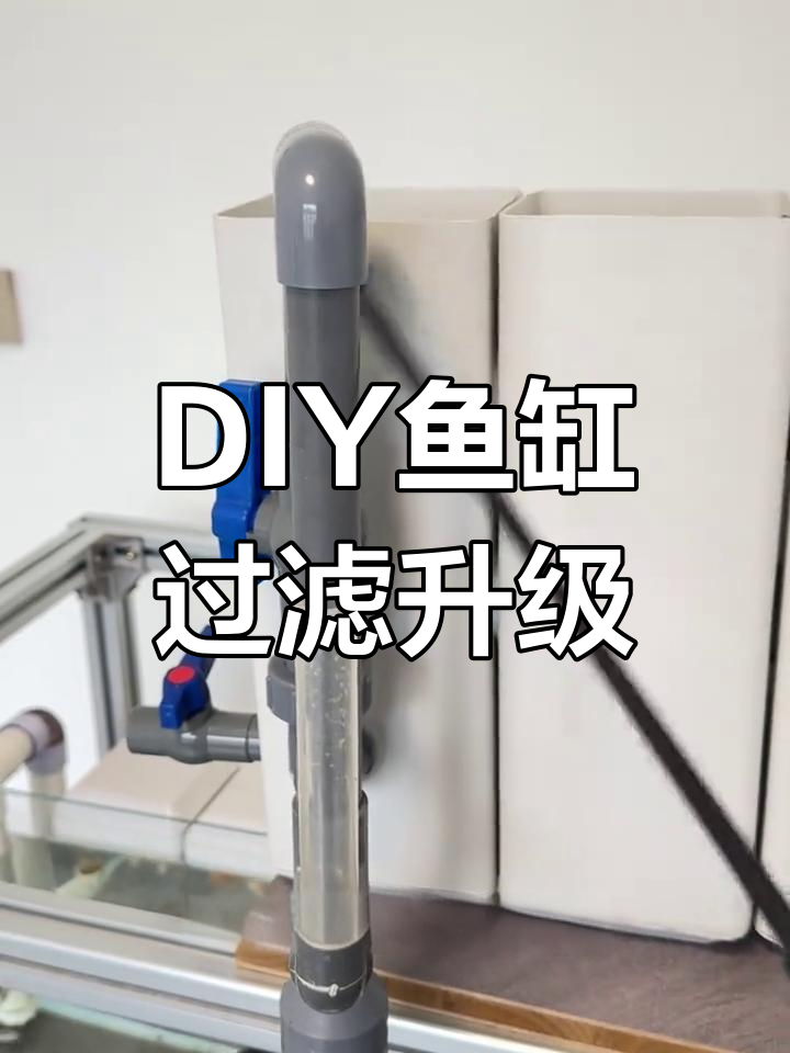 自制鱼缸背滤进化史:从1.0到4.0的改进