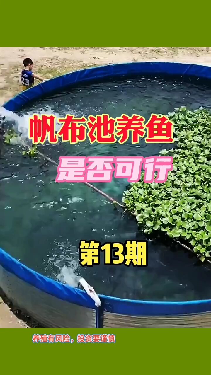 井水也可以养鱼,镀锌板帆布鱼池养鱼