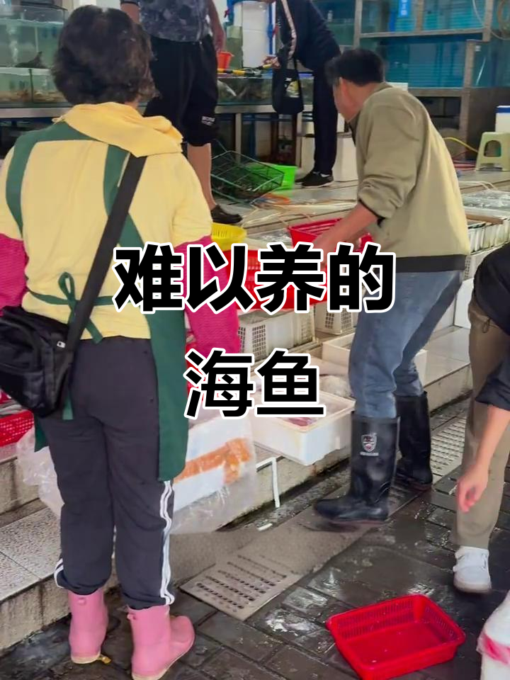 8种无法人工养殖的海鱼,你了解吗?