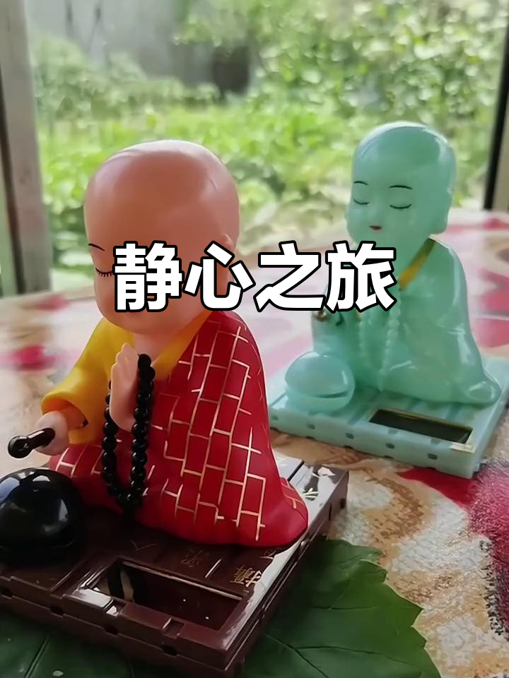 小和尚敲木鱼，光影下静心开车，景色美得让人陶醉