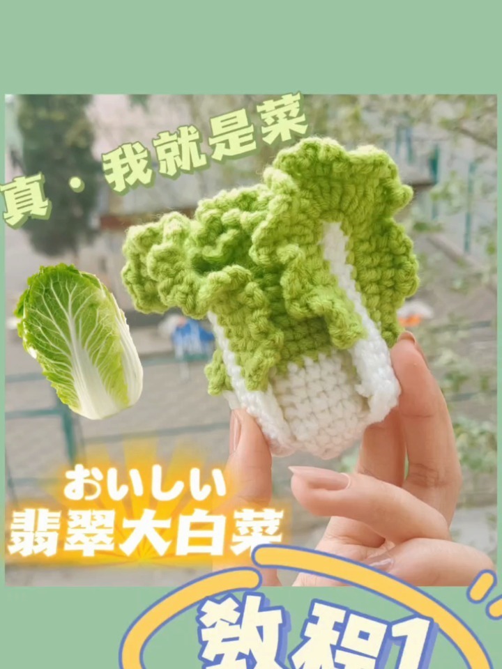 「钩针白菜」保姆级视频教程～