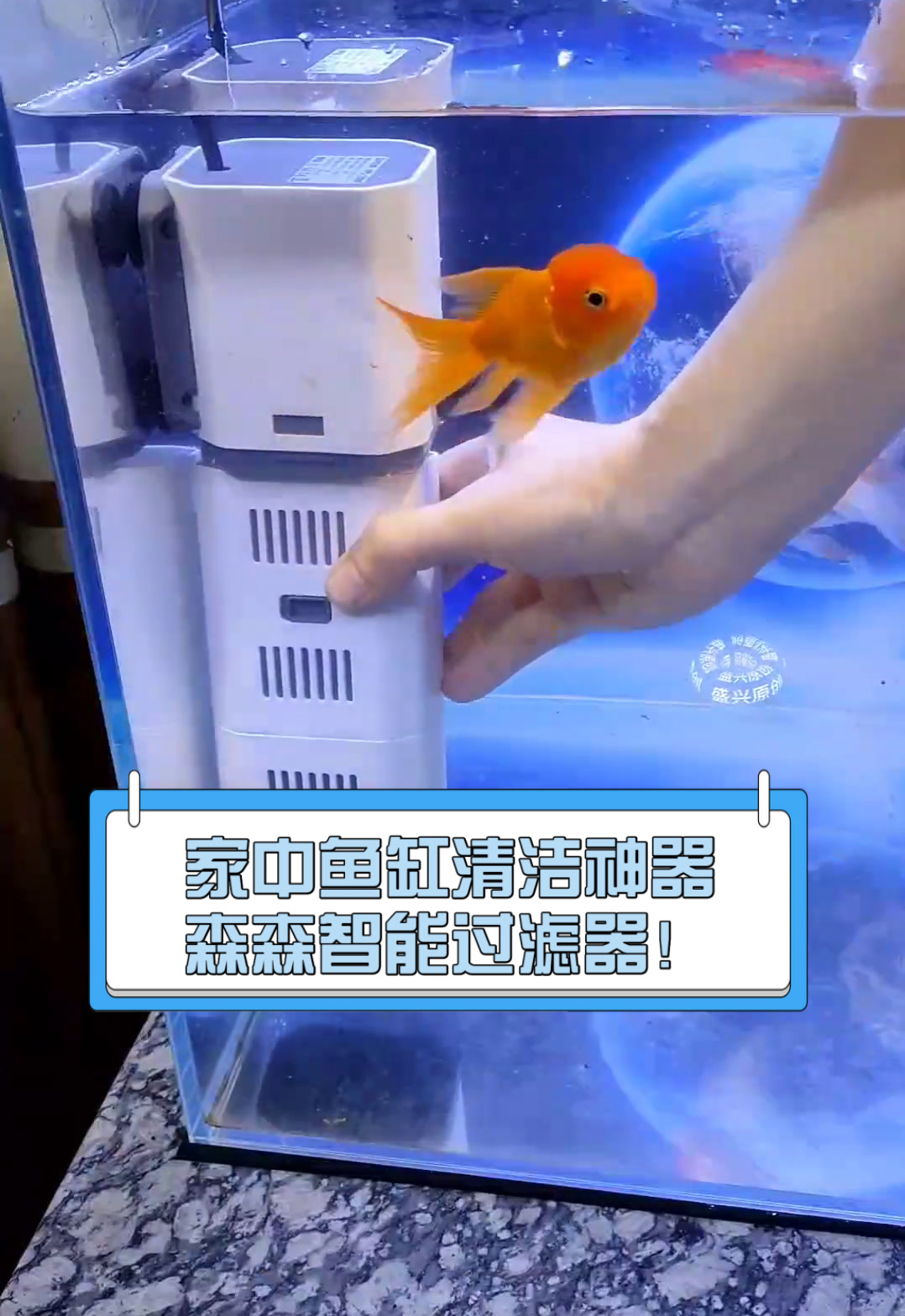 家中鱼缸清洁神器,森森智能过滤器!
