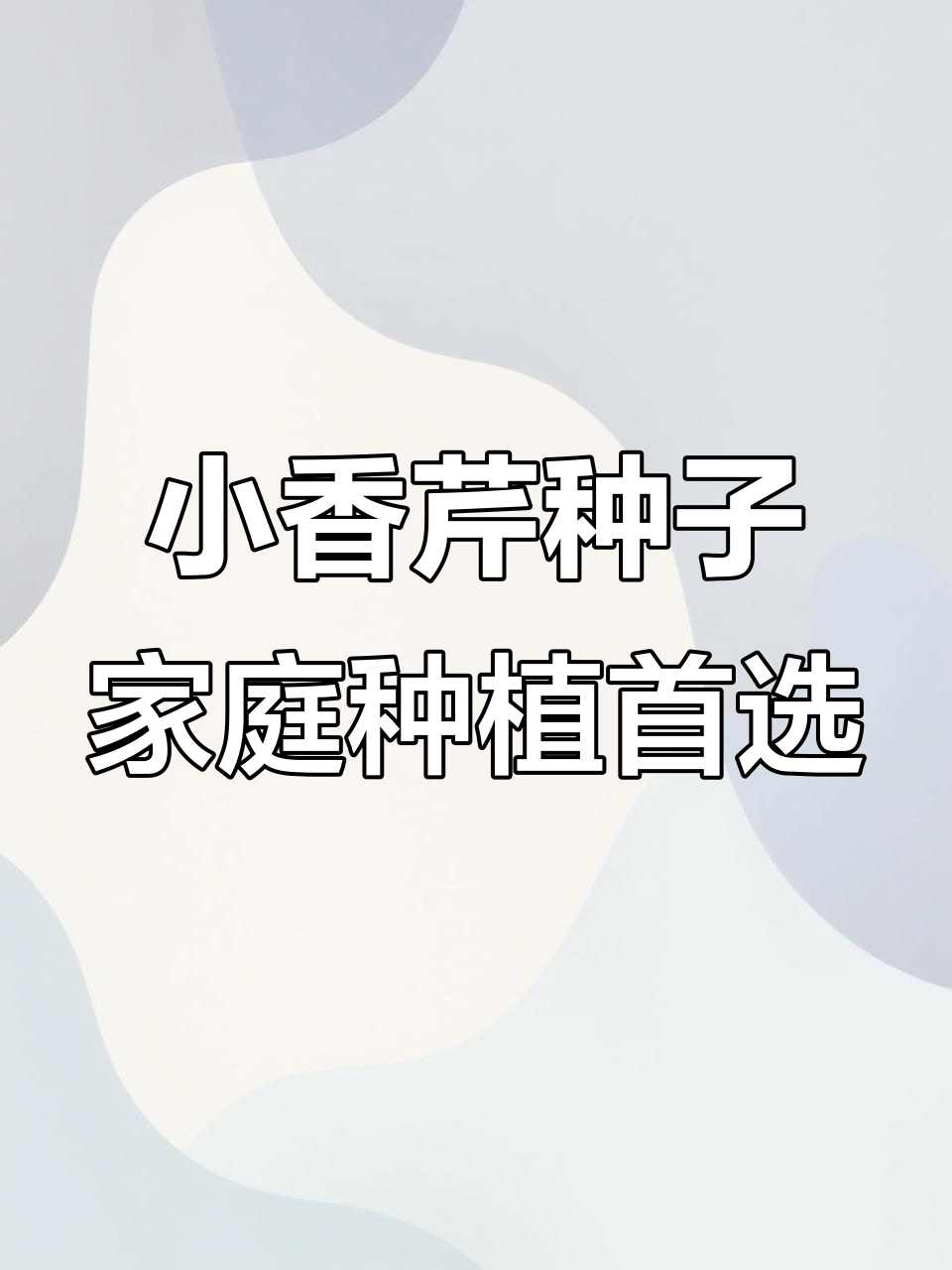 阳台种菜必备!四季常绿的小香芹,轻松自给蔬菜