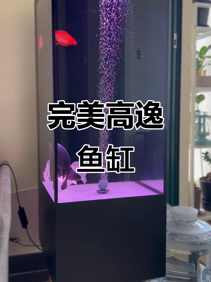 高逸鱼缸:打造理想水族环境