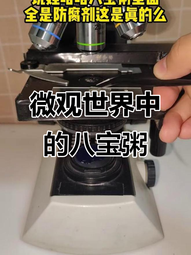显微镜下看八宝粥,原来每一颗都这么有趣!