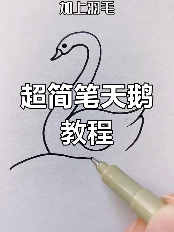 轻松四五笔画出可爱白天鹅,简单又有趣