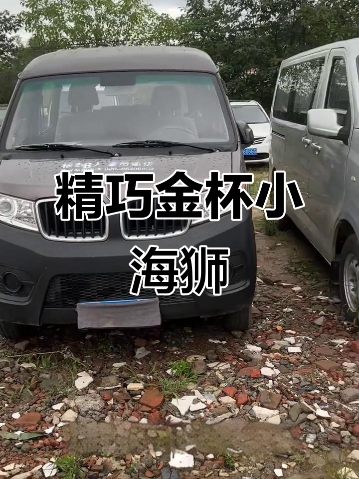 金杯小海狮九座面包车,座椅折叠侧挂设计,空调助力轻松出行