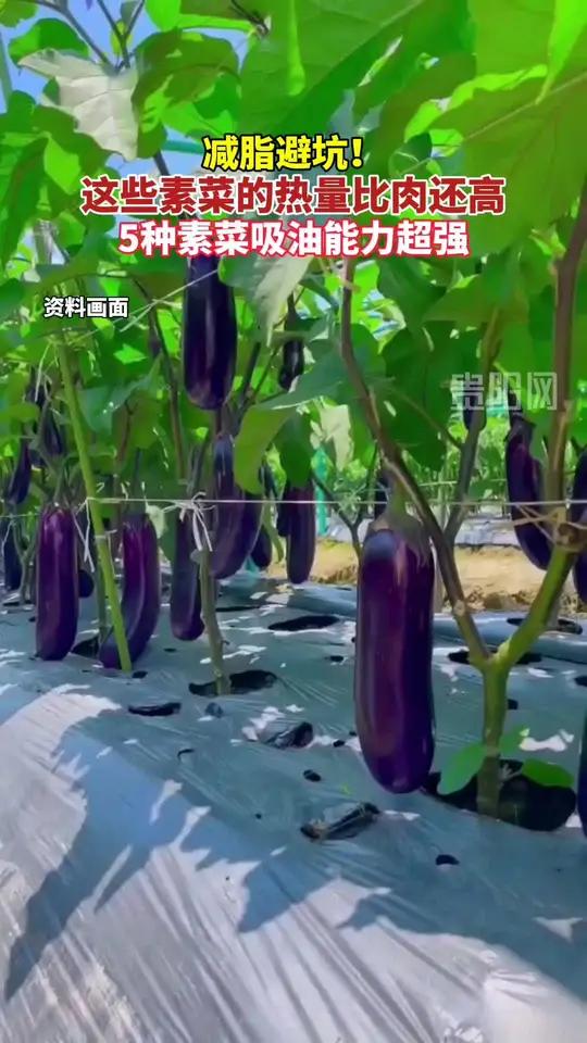 这些素菜的热量比肉还高,吸油能力超强!
