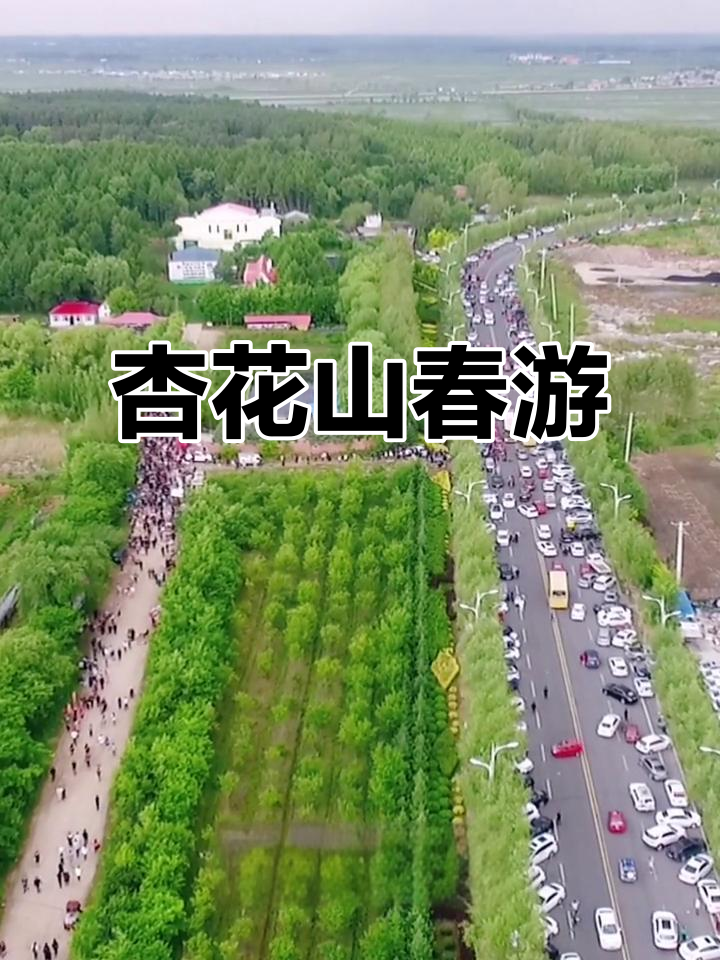 杏花山踏青,感受春天的气息