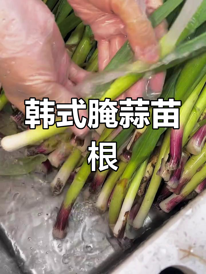 用韩国泡菜的做法做蒜苗,根部也能这么好吃!