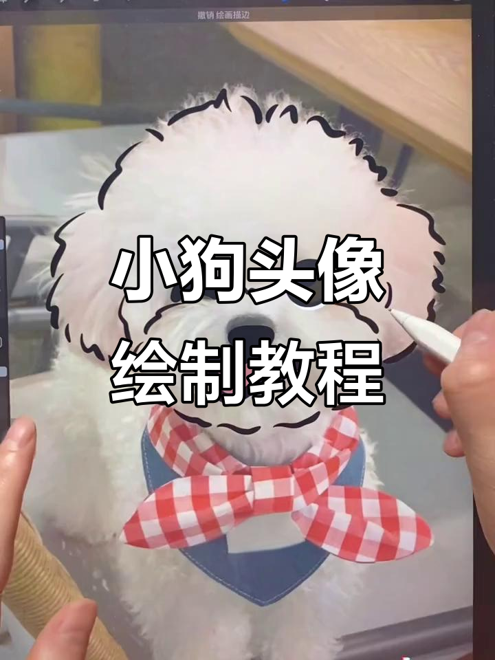 泰迪狗狗萌宠简笔画,轻松学会画可爱小狗