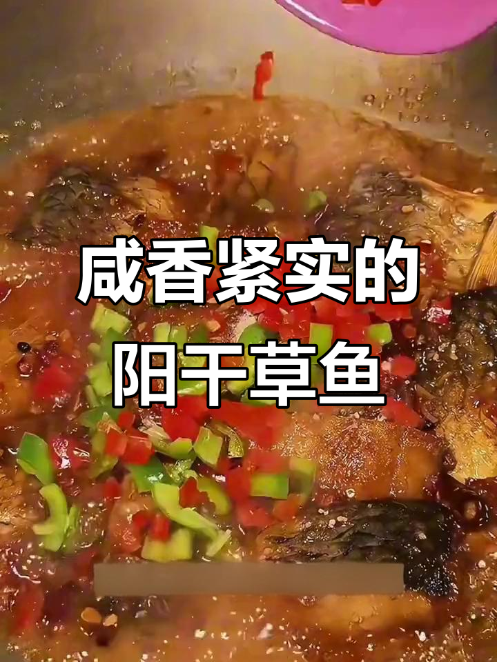 湖北阳干草鱼块,晒得恰到好处,肉质紧实有嚼劲