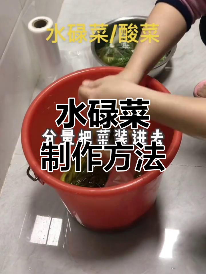 冬季芥菜酸菜的独特风味,广东水碌菜的做法