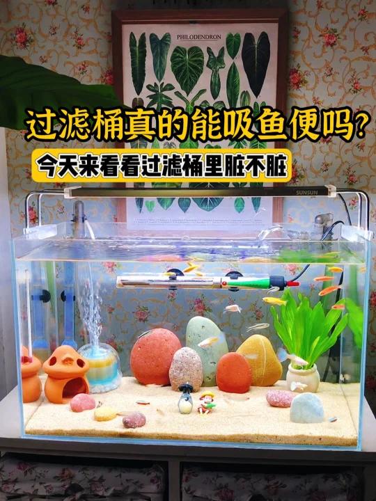 鱼缸过滤,外置过滤桶效果好吗?来打开看看