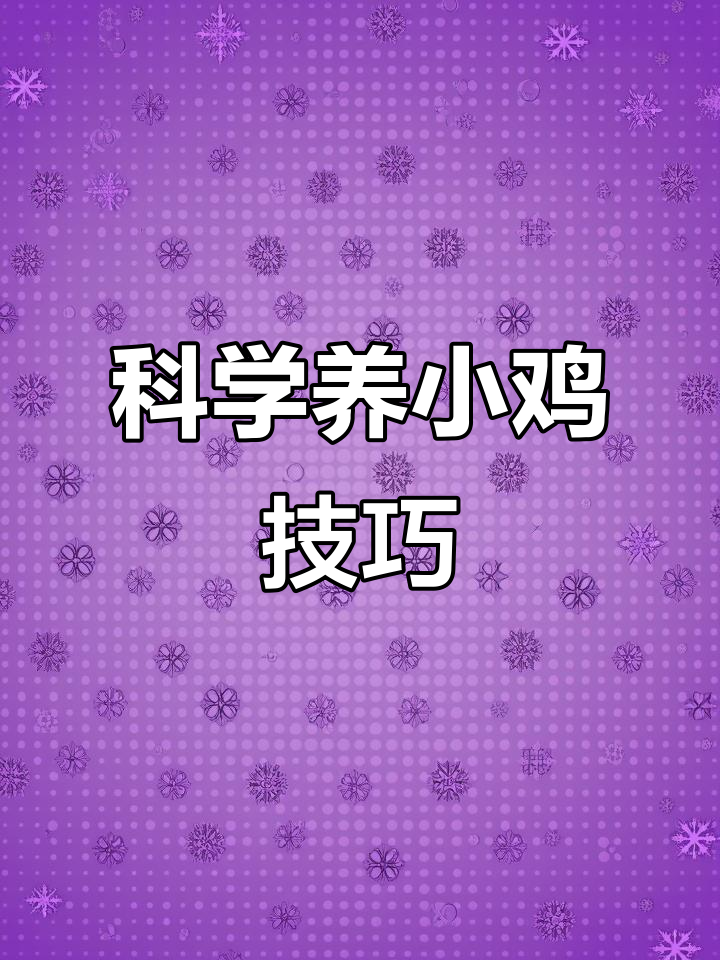 小鸡养殖全攻略：从出壳到成活率提升的秘诀