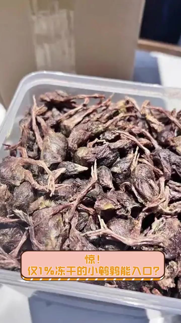 惊!仅1%冻干的小鹌鹑能入口?