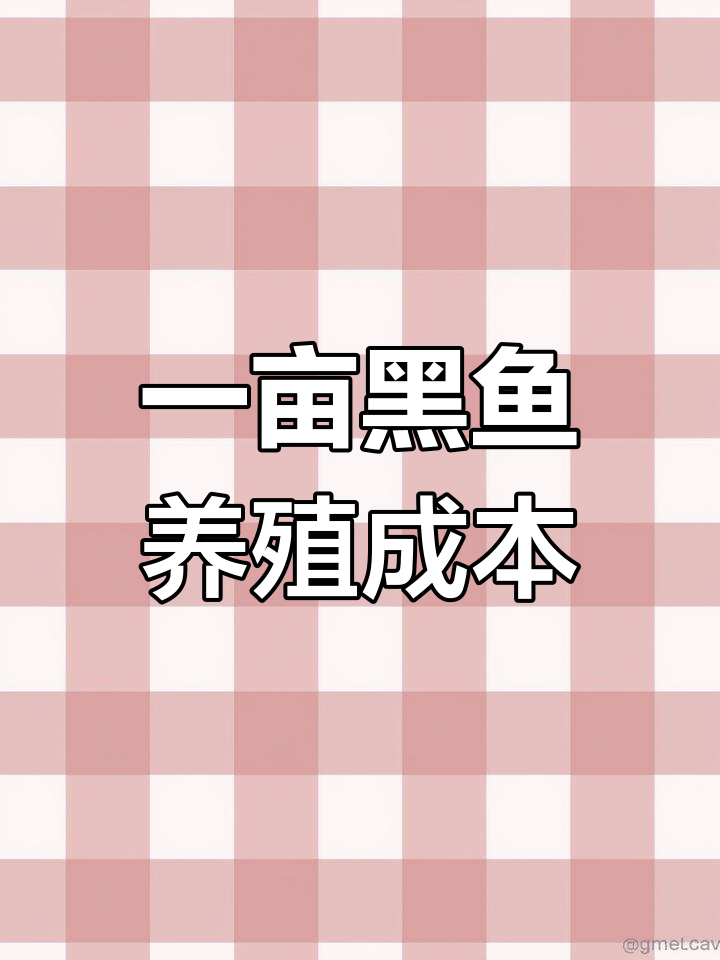 黑鱼养殖成本分析:从挖塘到饲料全解析