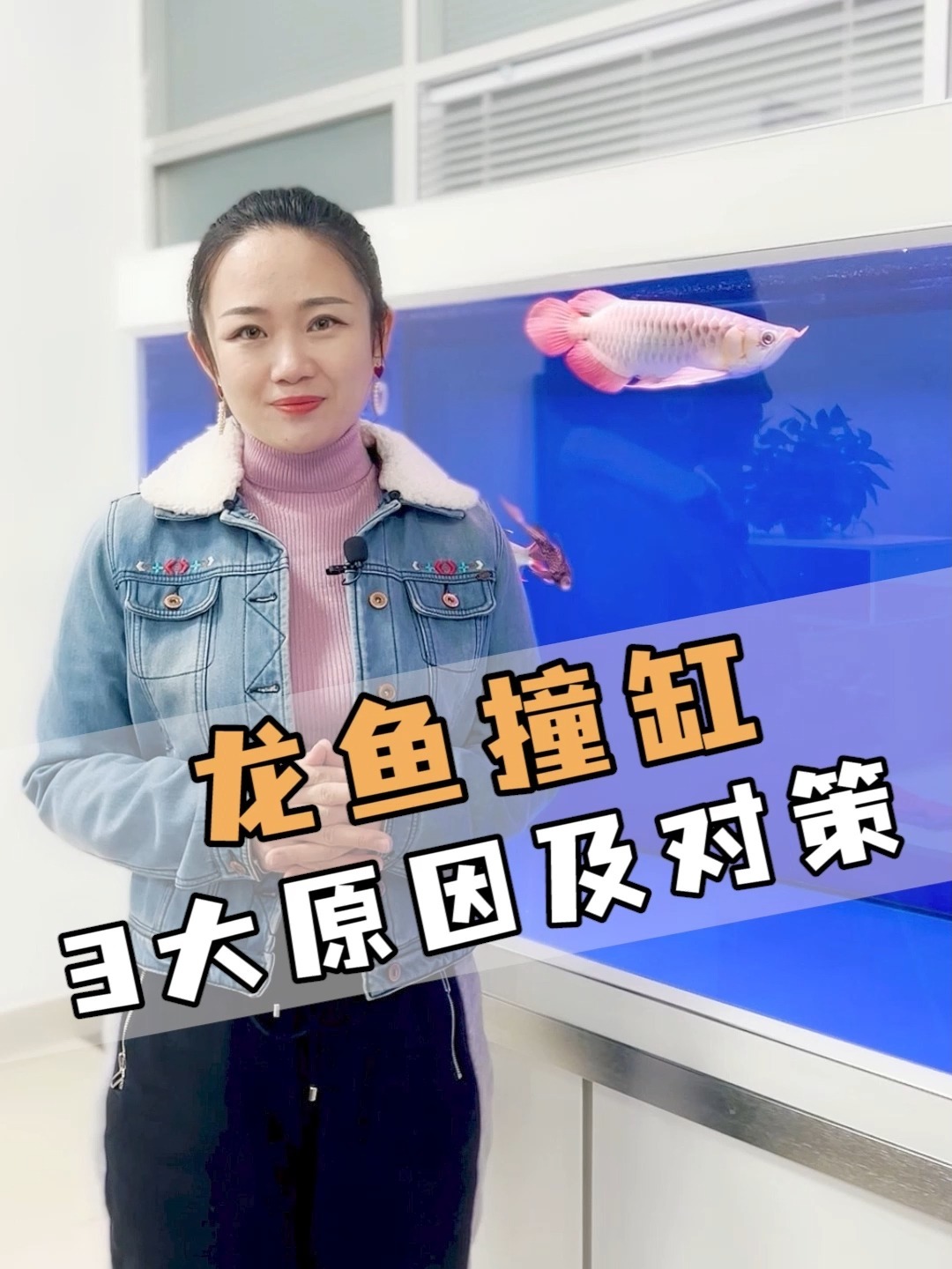 龙鱼撞缸3大原因及对策!