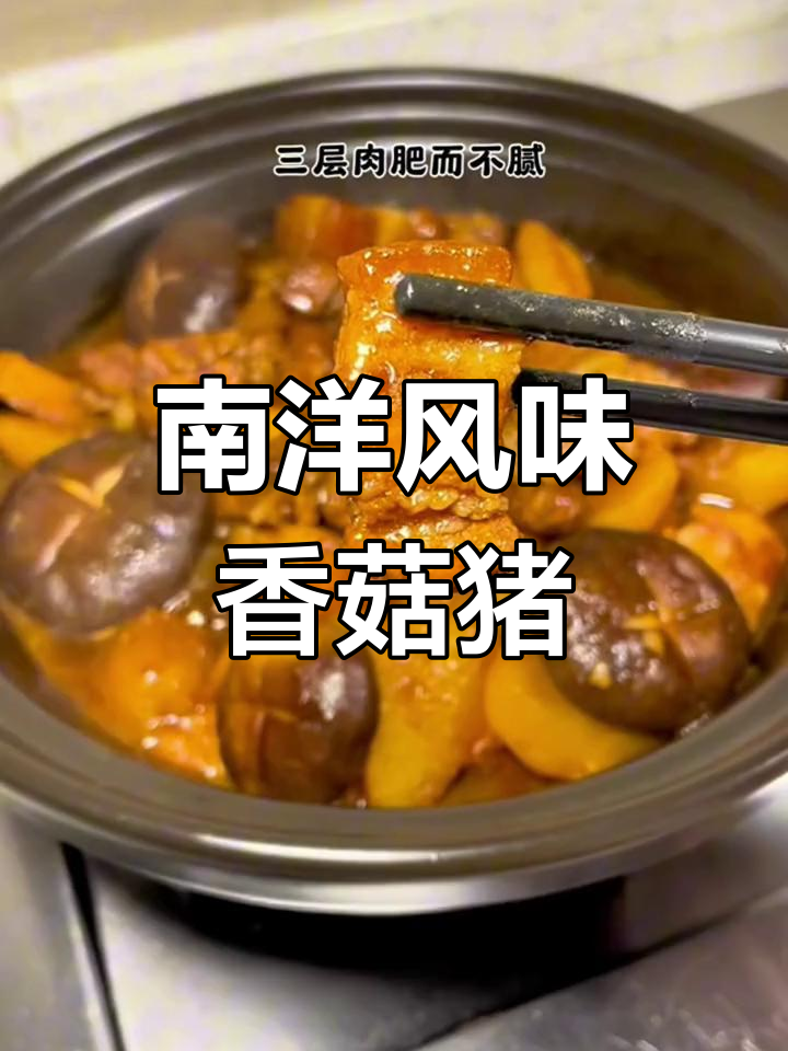 东南亚家常菜:香菇豆酱焖猪肉