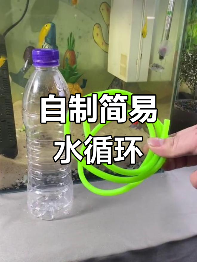 无需电力,简单制作鱼缸水循环