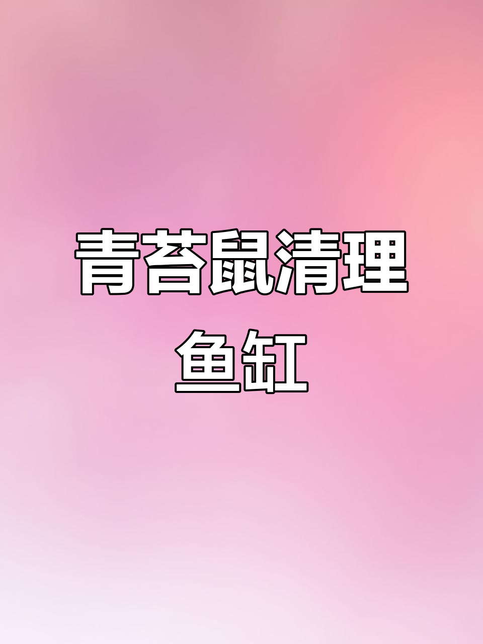 鱼缸里的“清道夫”,青苔鼠帮你搞定藻类问题