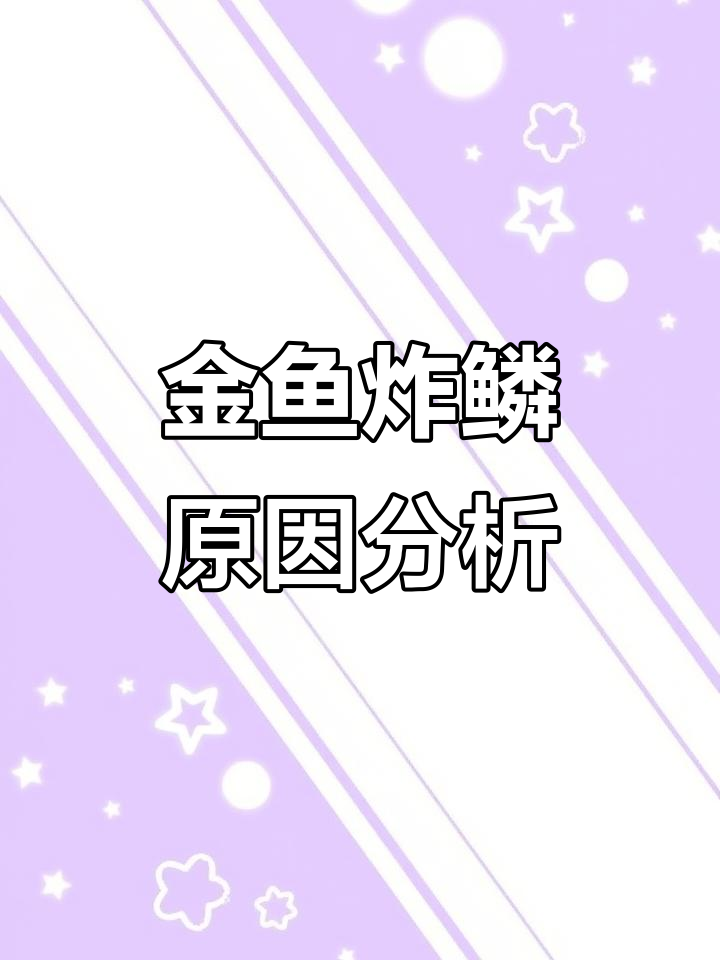 金鱼炸鳞背后的四大凶手,如何应对绝症危机