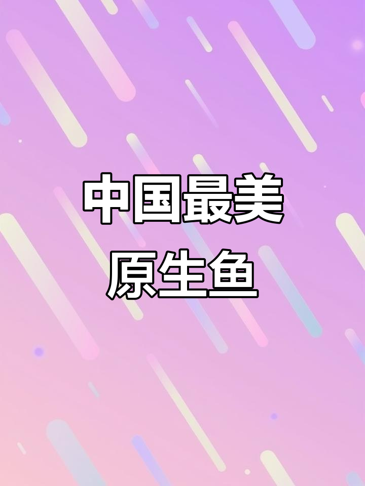 2024年探秘中国最美原生鱼,感受自然之美