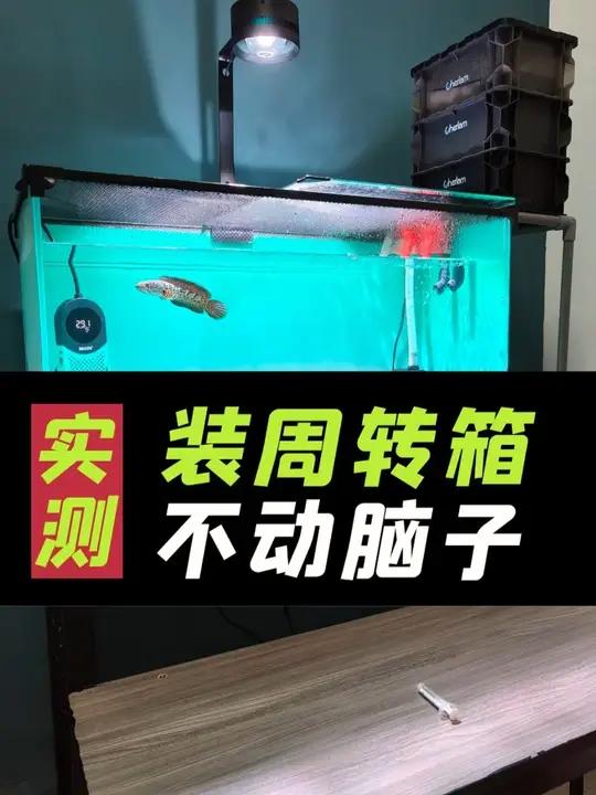 鱼缸周转箱如何轻松安装?不用动脑子,超详细教程!