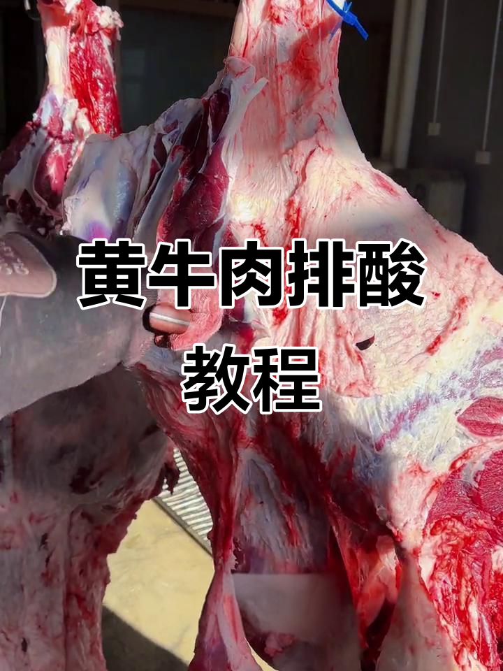 新鲜黄牛肉排酸技巧,教你如何处理牛大骨